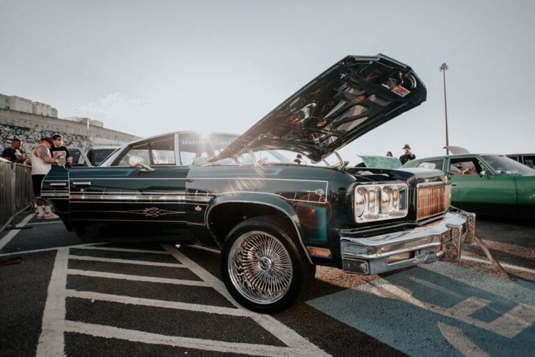 pexels-matheus-triaquim-118638681-10196162